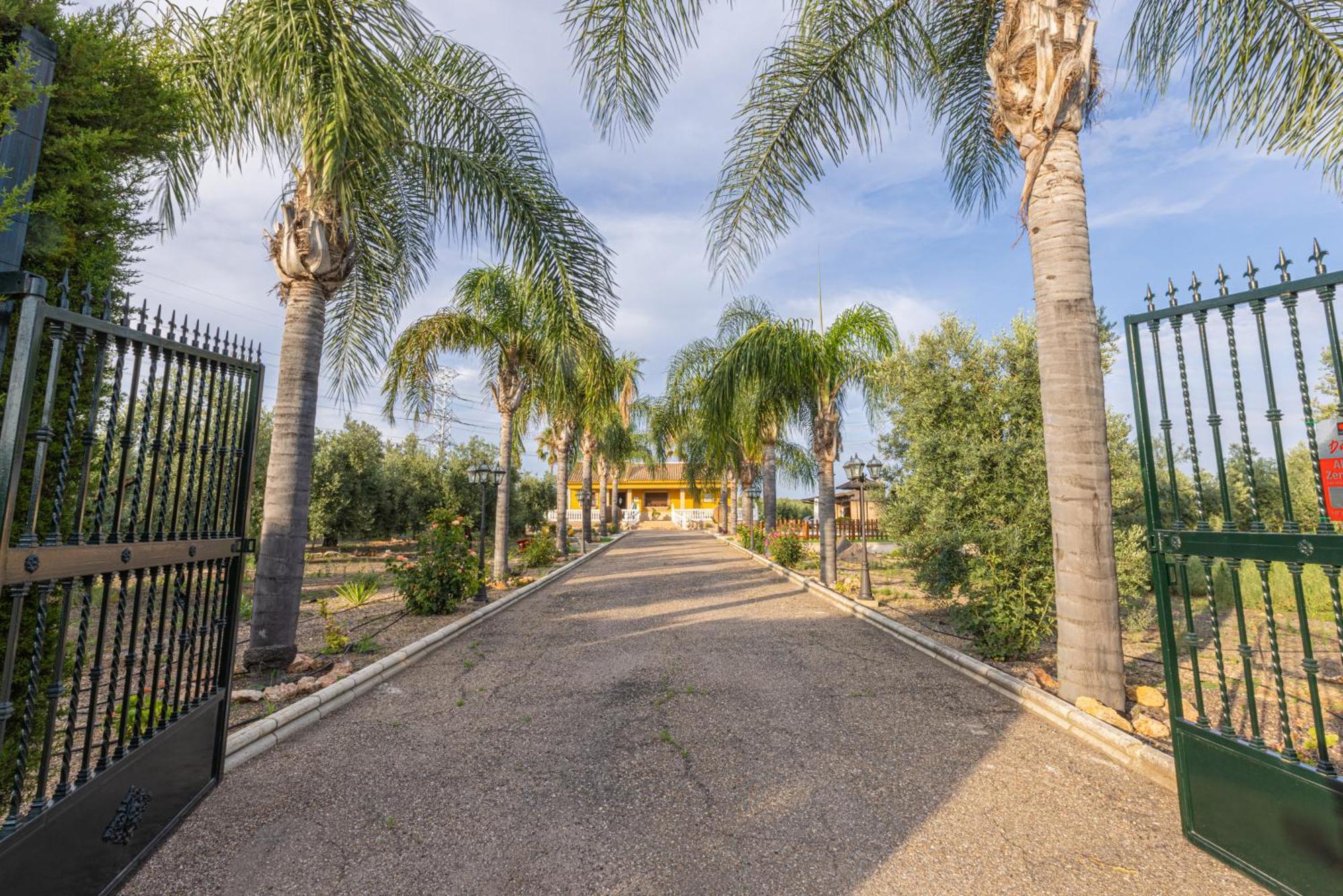 Casa Rural En El Entorno De Donana Βίλα Hinojos Εξωτερικό φωτογραφία